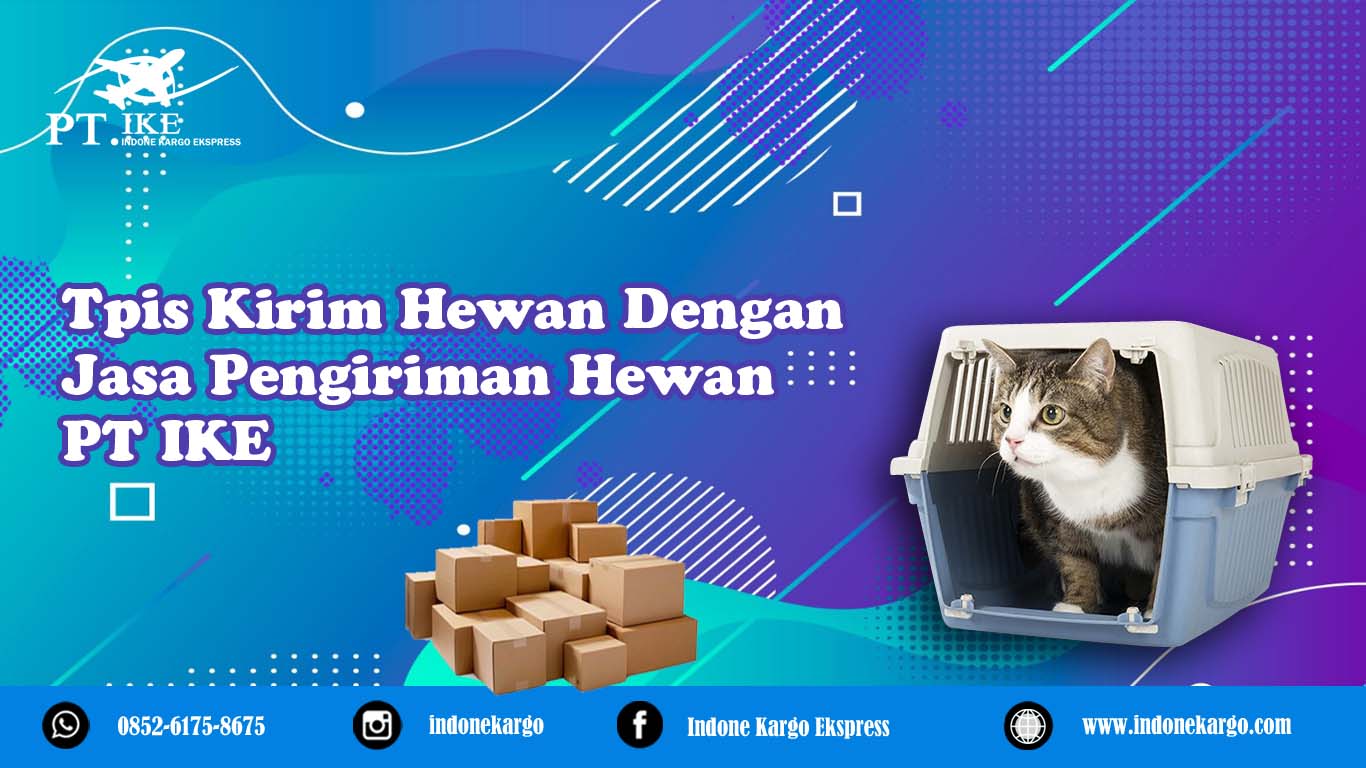 You are currently viewing Jasa Pengiriman Hewan di Medan, Ketahui Syarat dan Tips Aman Kirim Hewan dengan Mudah.