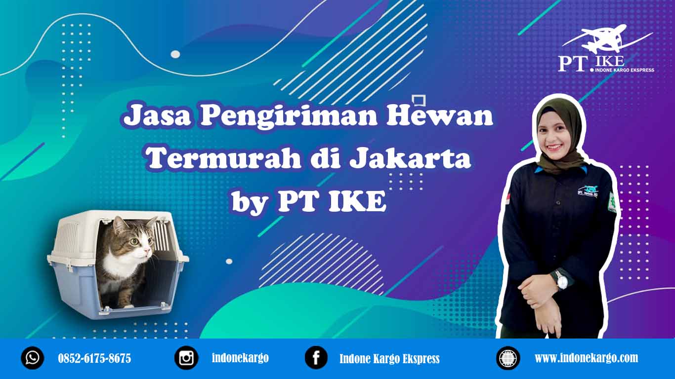 You are currently viewing Jasa Pengiriman Hewan Jakarta Termurah by PT Indone Kargo Ekspress