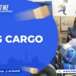 Pilihan Paket Pengiriman SNG Cargo dan Indone Kargo Ekspress