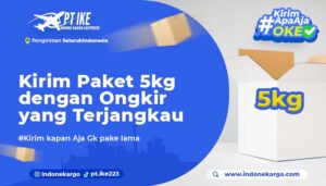 Read more about the article Kirim Paket Diatas 5 Kg Lebih Murah Dengan PT IKE