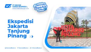 Read more about the article Keuntungan Menggunakan Ekspedisi Jakarta Tanjung Pinang