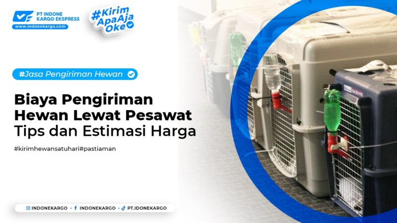 biaya pengiriman hewan lewat pesawat tips dan estimasi harga